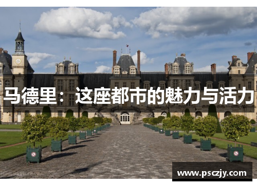 马德里：这座都市的魅力与活力